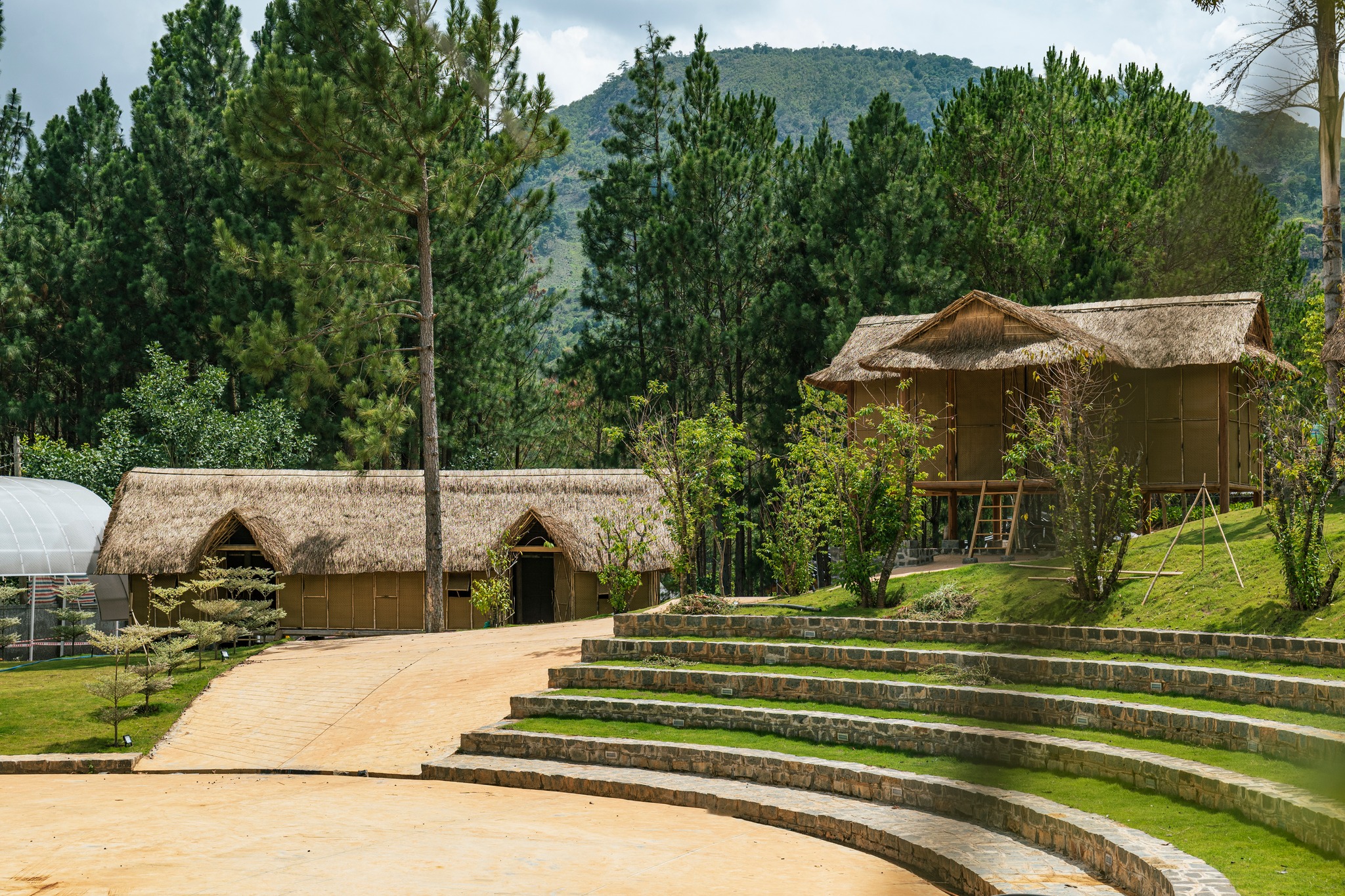 lĩnh vực hoạt động