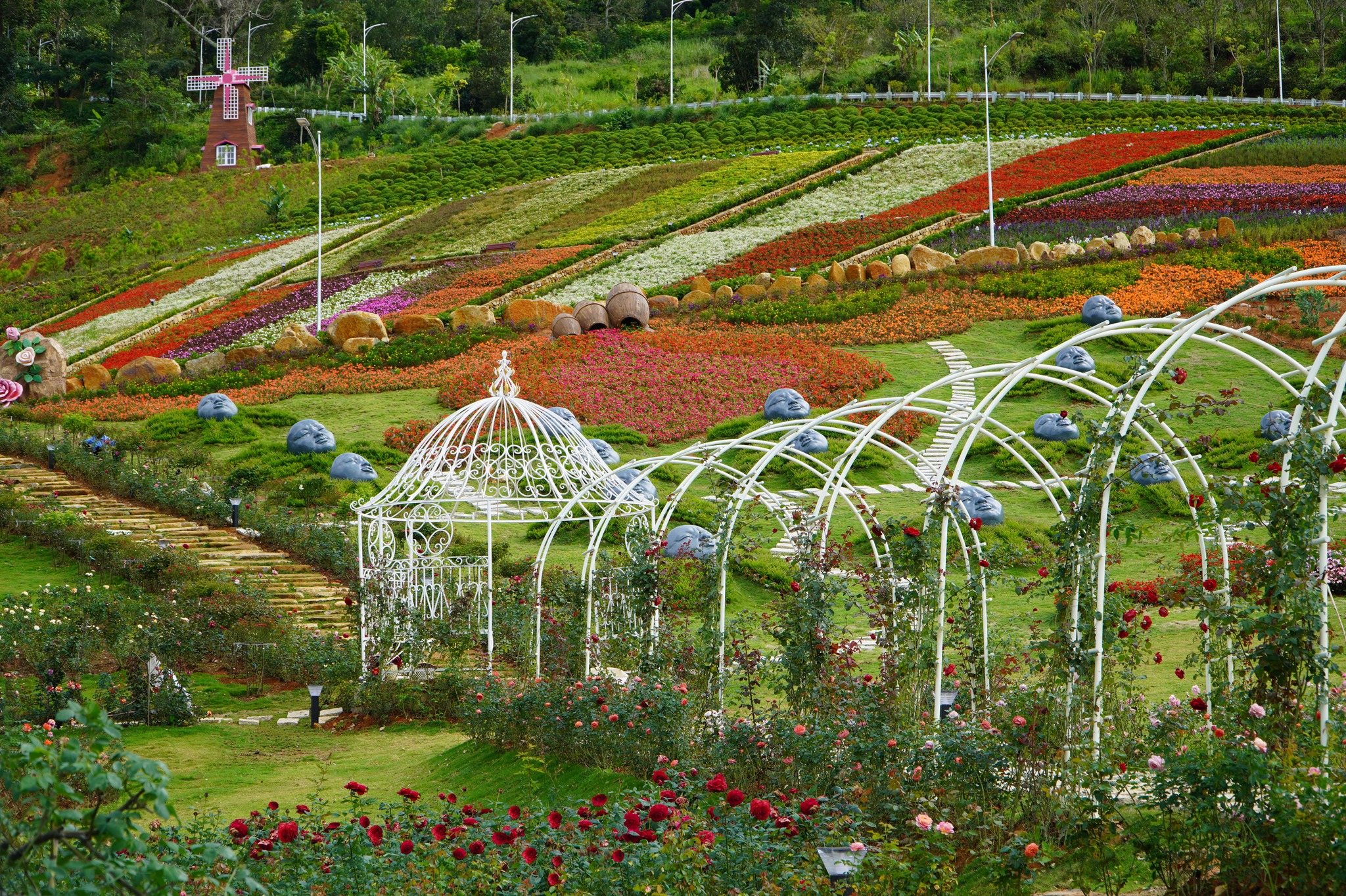 lĩnh vực hoạt động