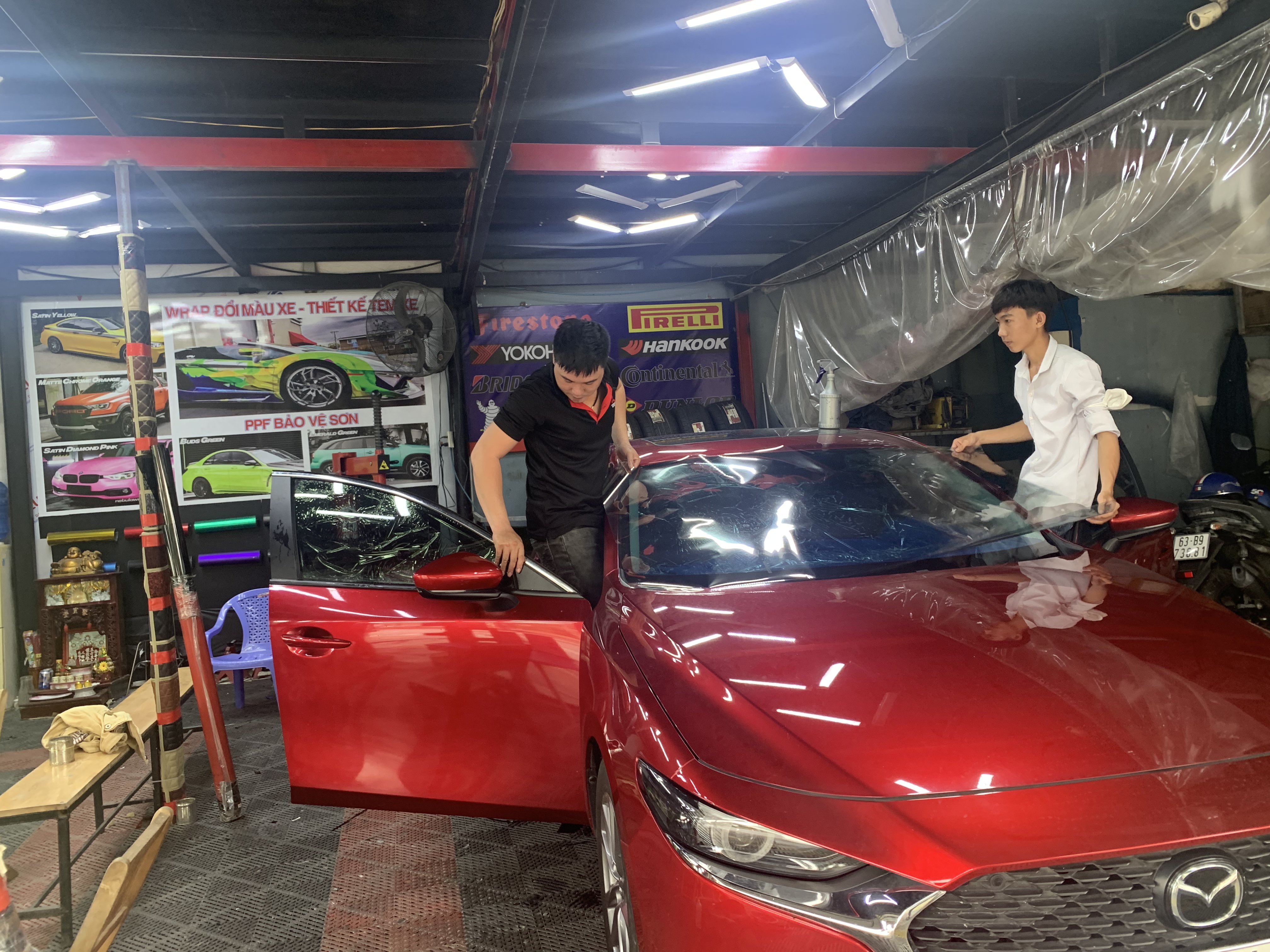 lĩnh vực hoạt động