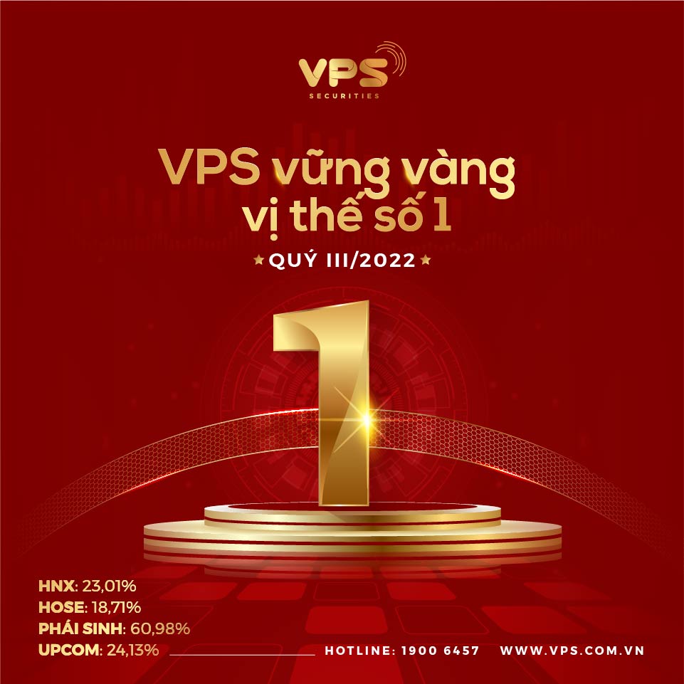 lĩnh vực hoạt động