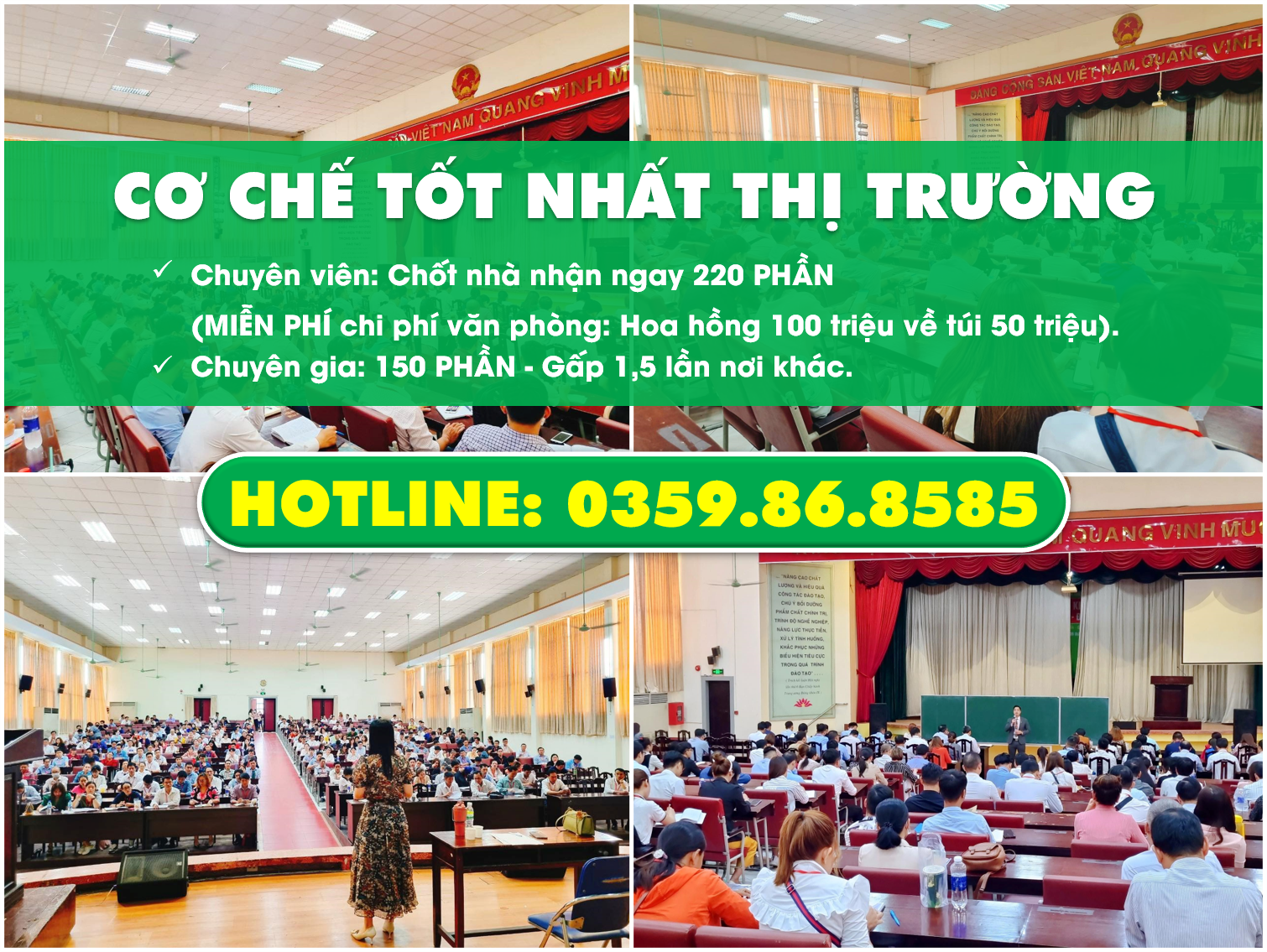 lĩnh vực hoạt động