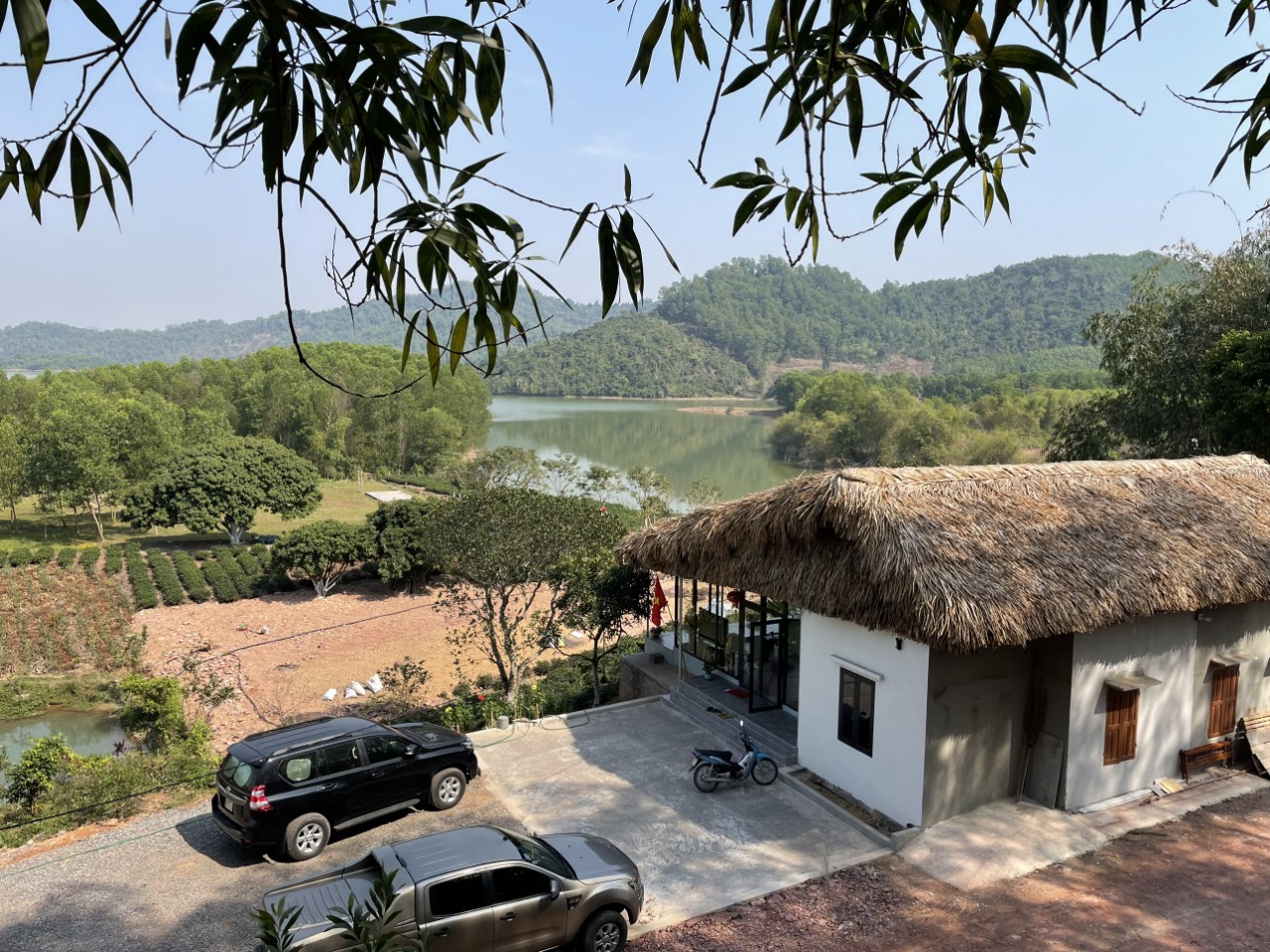 lĩnh vực hoạt động