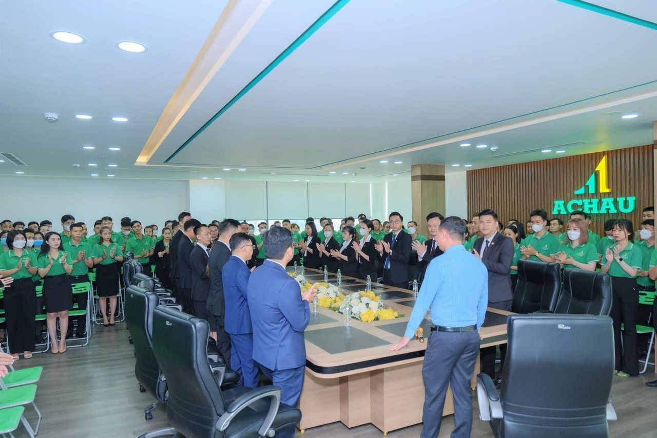 lĩnh vực hoạt động