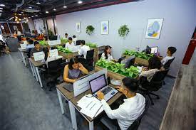 lĩnh vực hoạt động