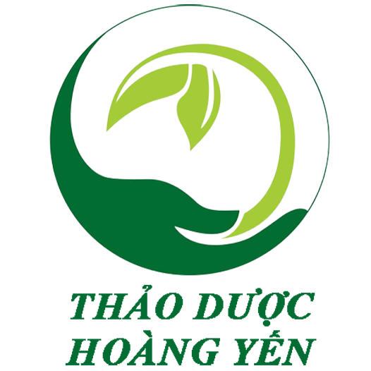 lĩnh vực hoạt động