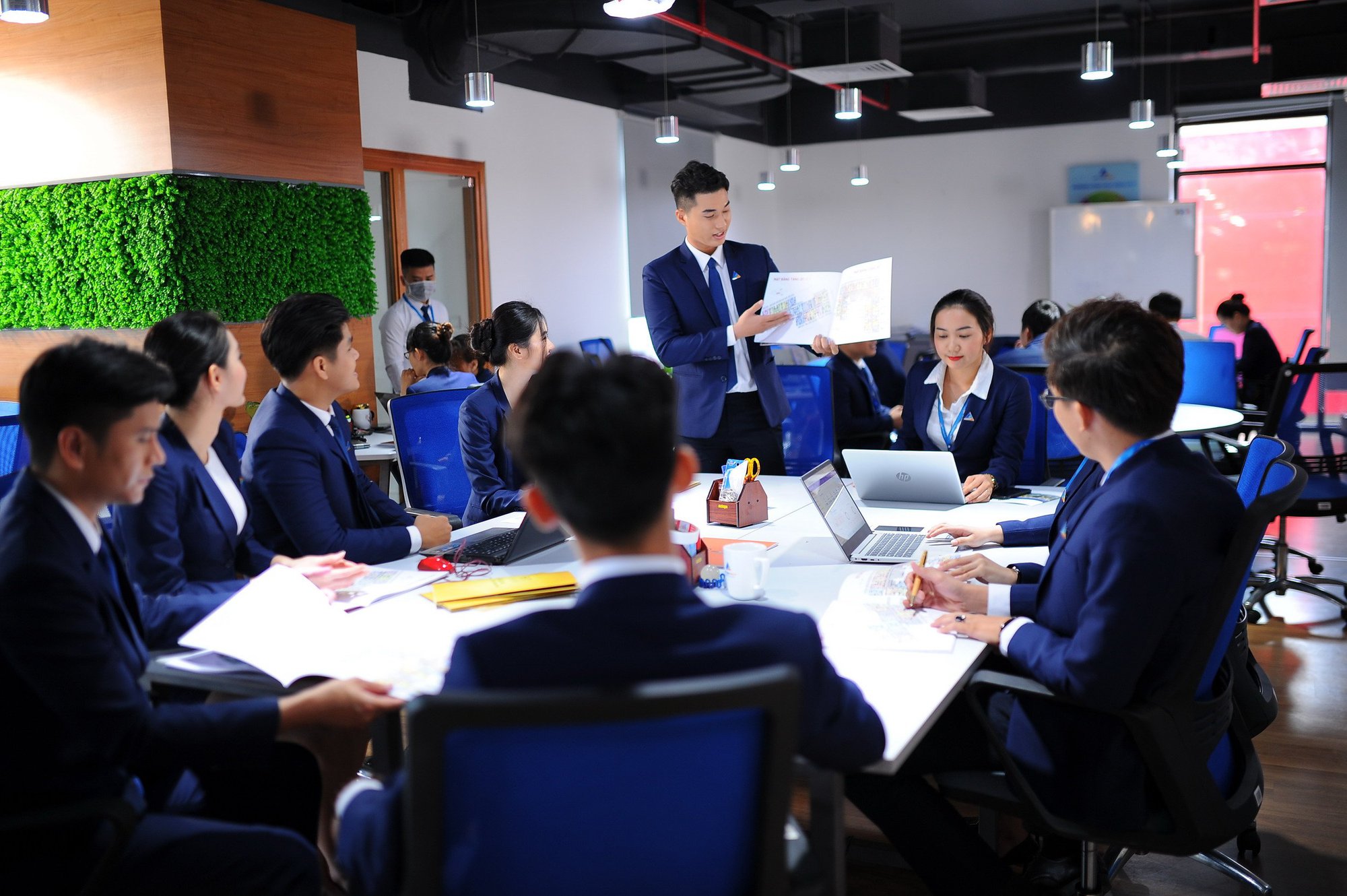 lĩnh vực hoạt động