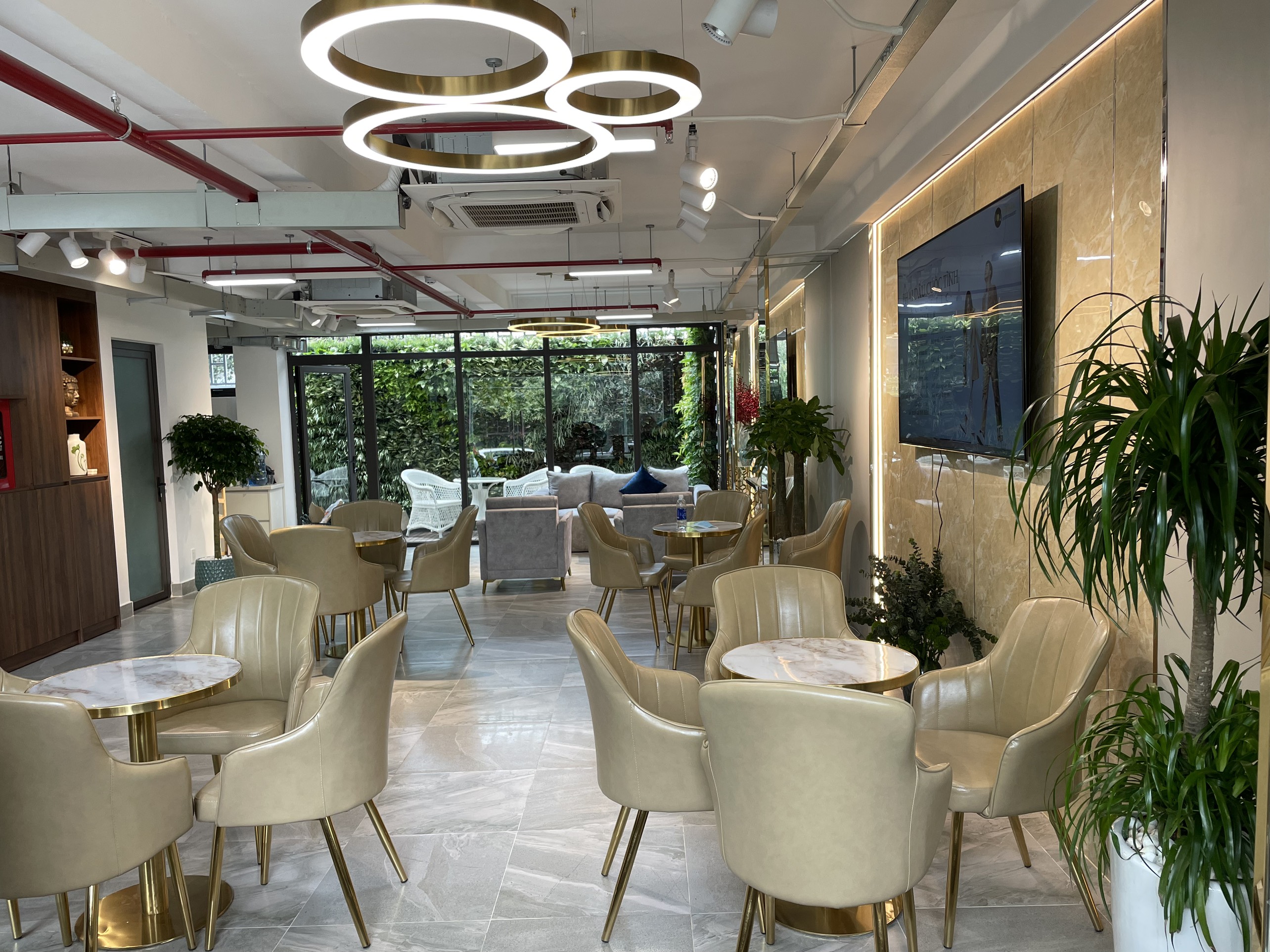 lĩnh vực hoạt động