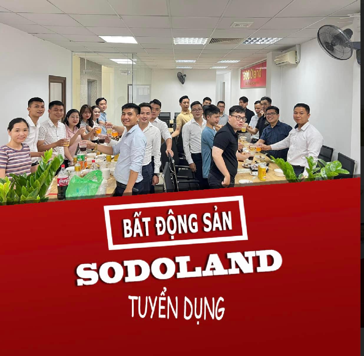lĩnh vực hoạt động