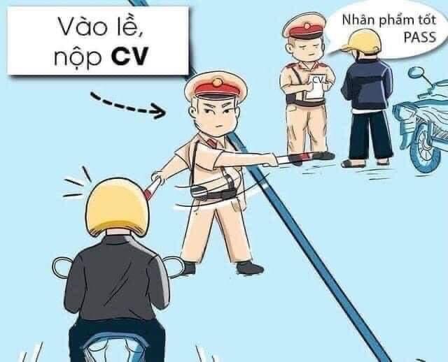lĩnh vực hoạt động