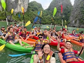 lĩnh vực hoạt động
