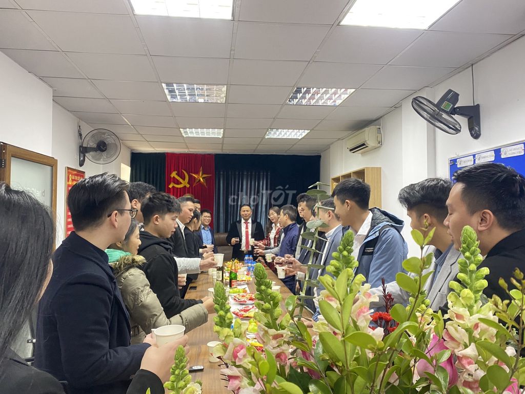 lĩnh vực hoạt động