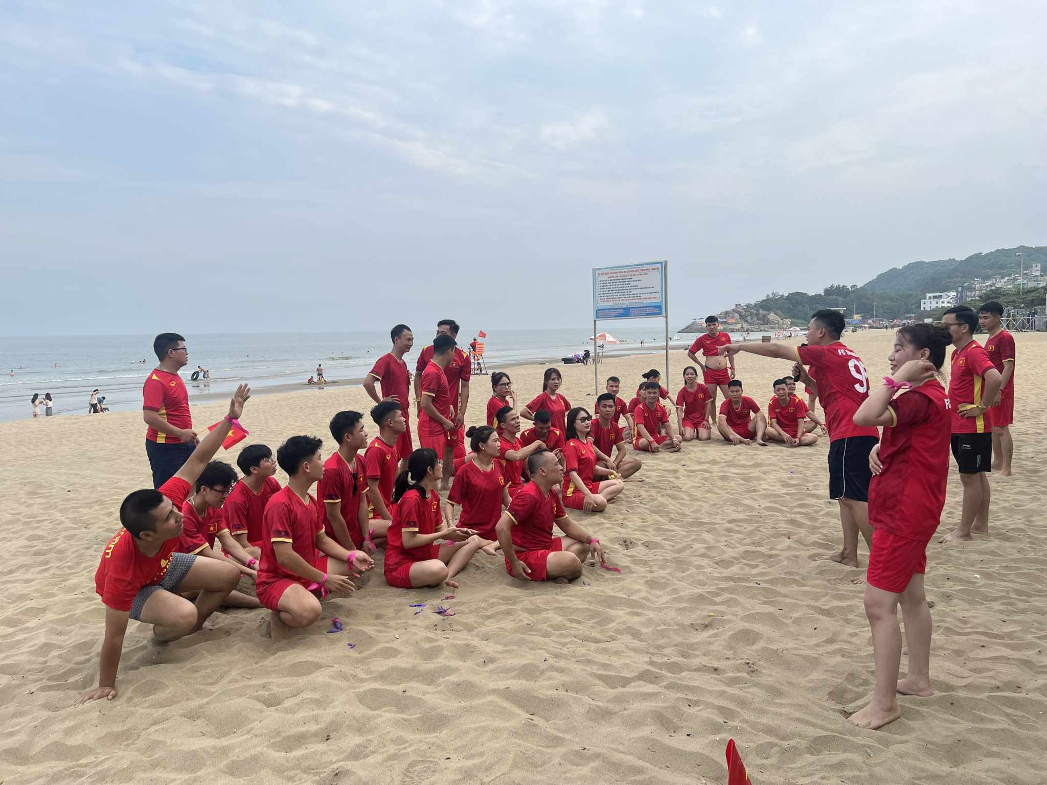 lĩnh vực hoạt động