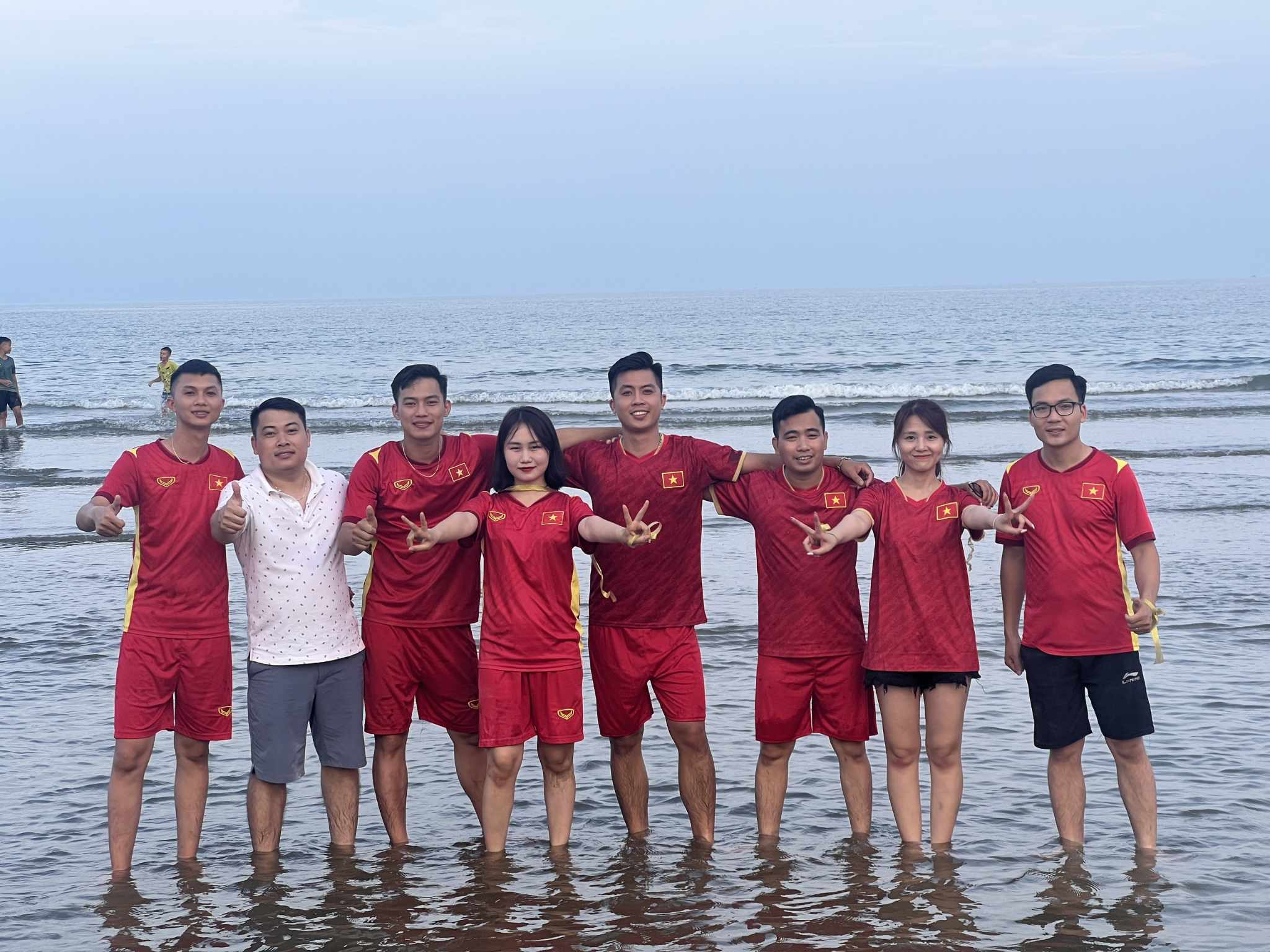 lĩnh vực hoạt động