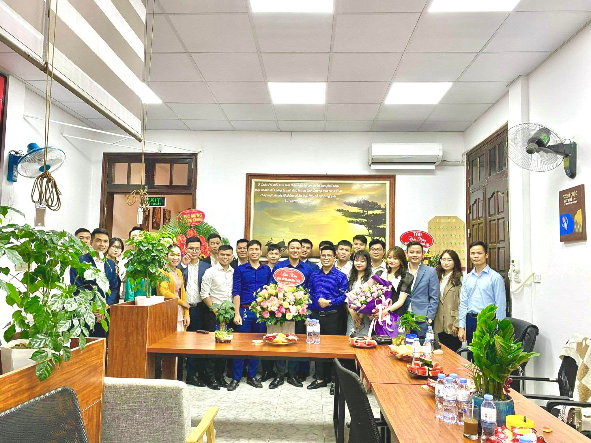 lĩnh vực hoạt động