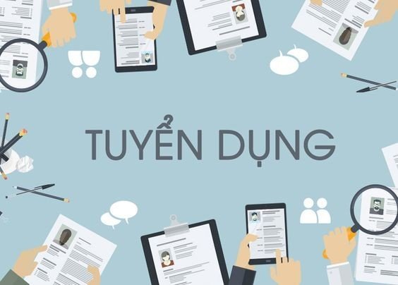 lĩnh vực hoạt động
