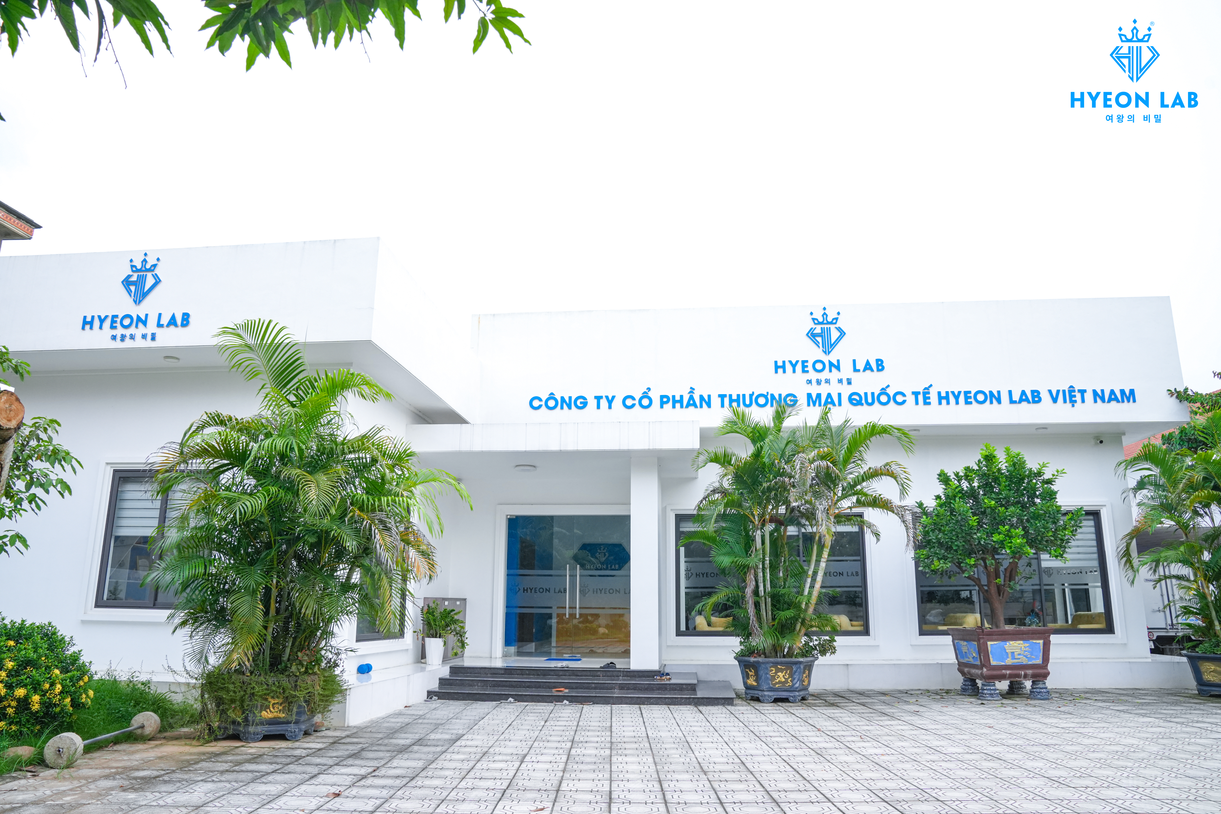 lĩnh vực hoạt động