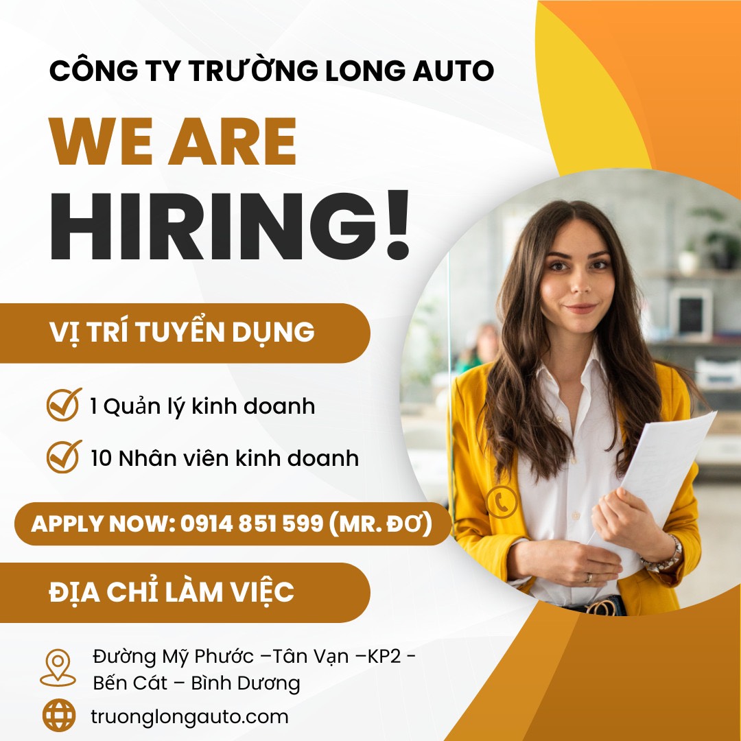 lĩnh vực hoạt động