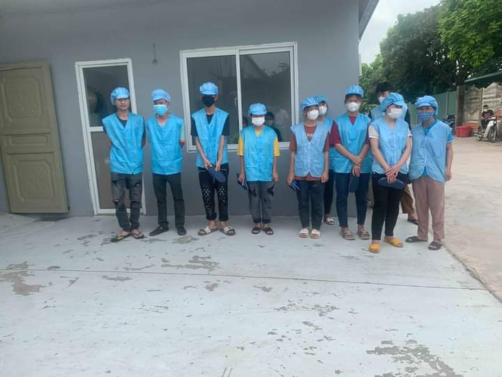 lĩnh vực hoạt động