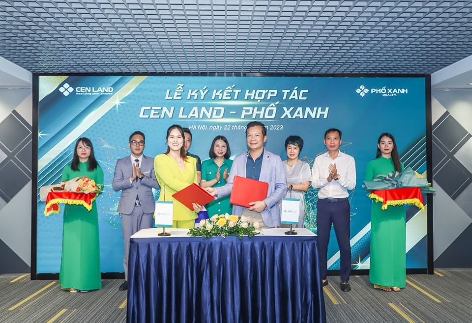 lĩnh vực hoạt động