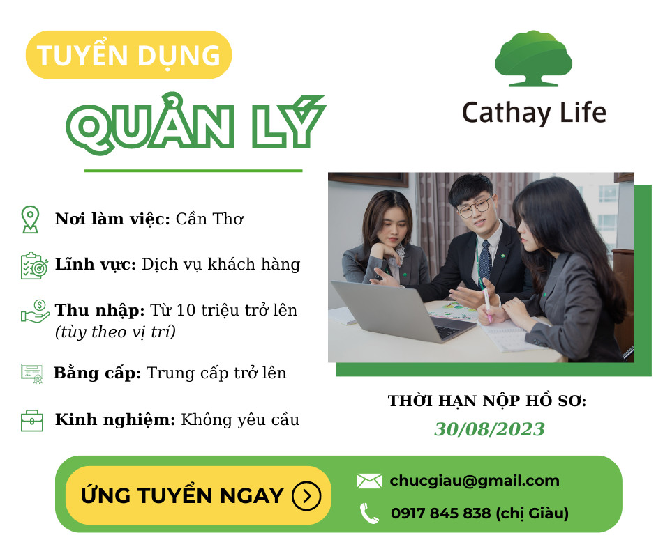 lĩnh vực hoạt động