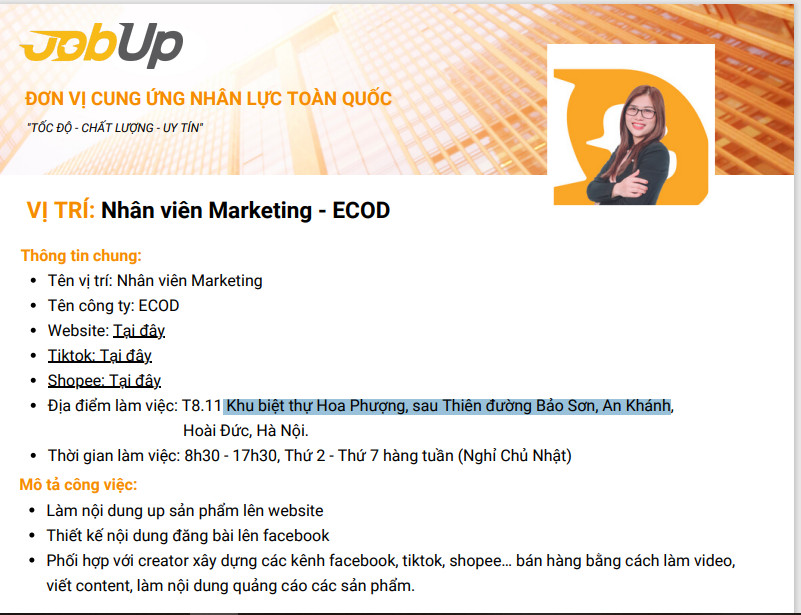 lĩnh vực hoạt động