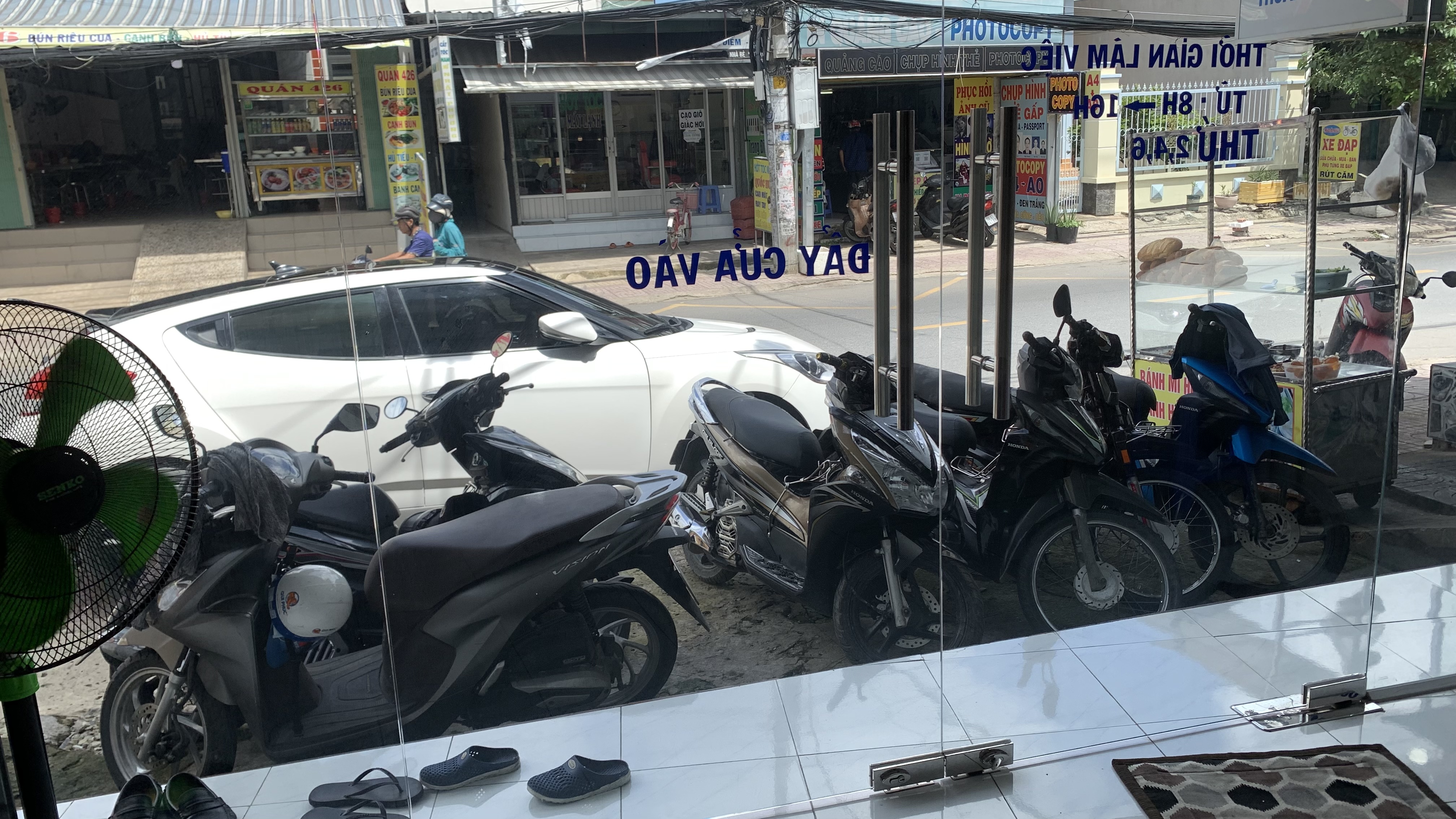 lĩnh vực hoạt động
