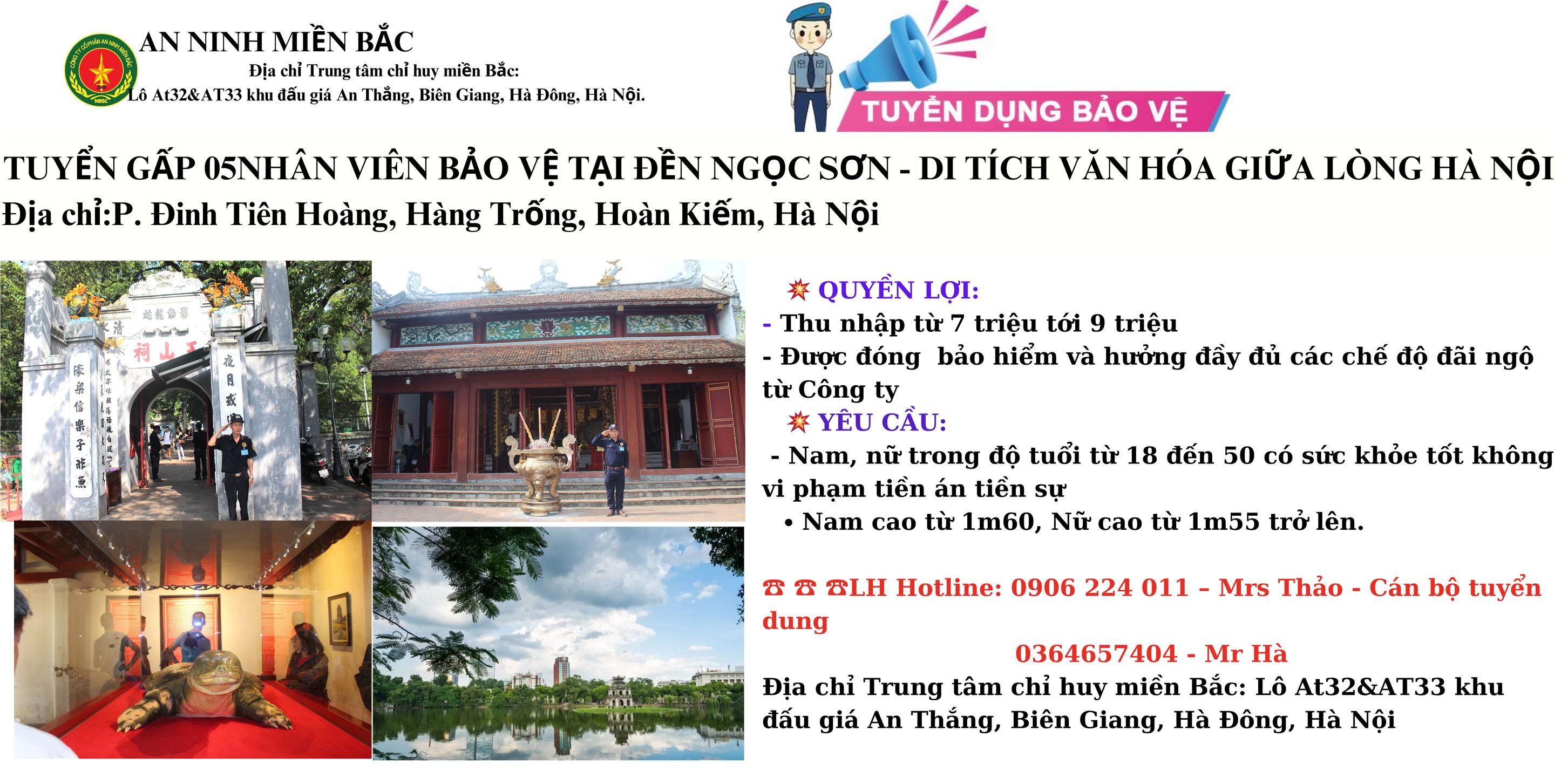 lĩnh vực hoạt động