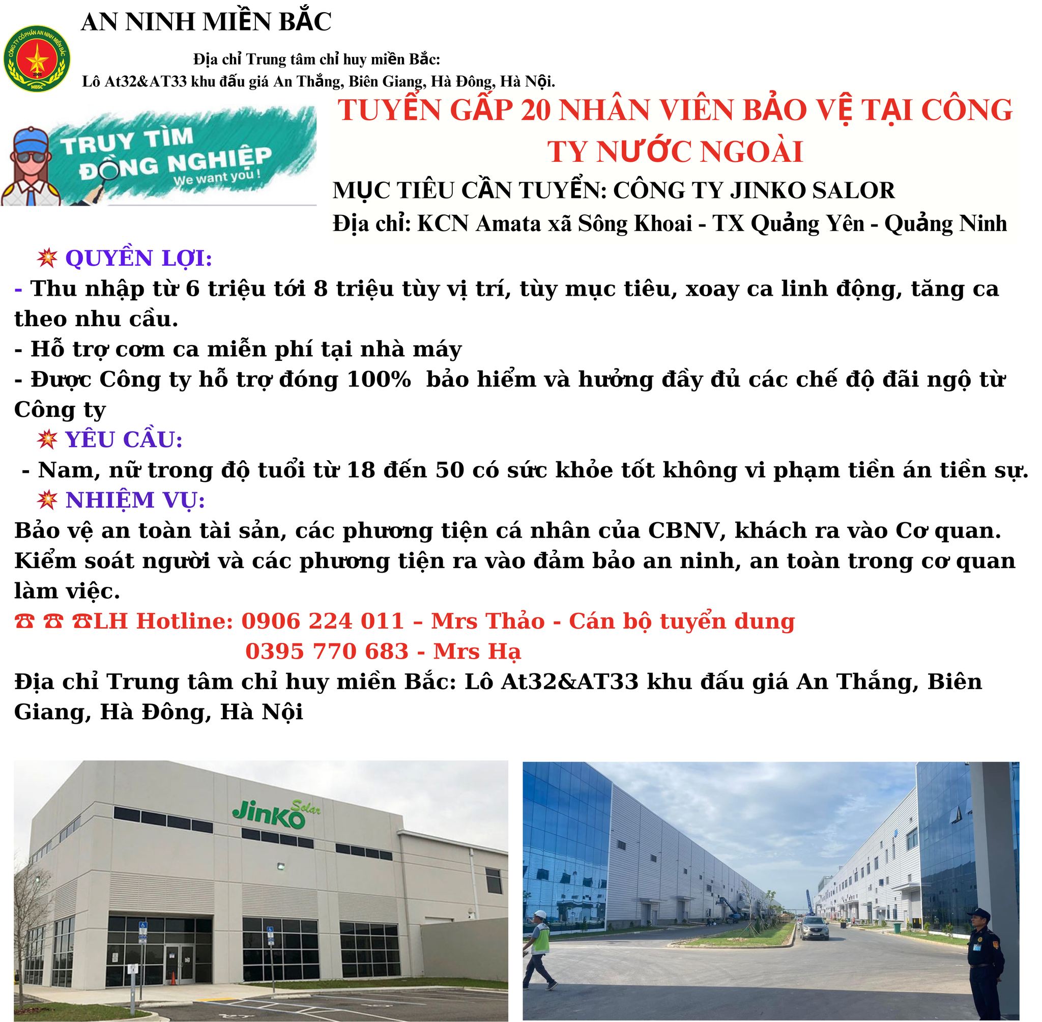 lĩnh vực hoạt động