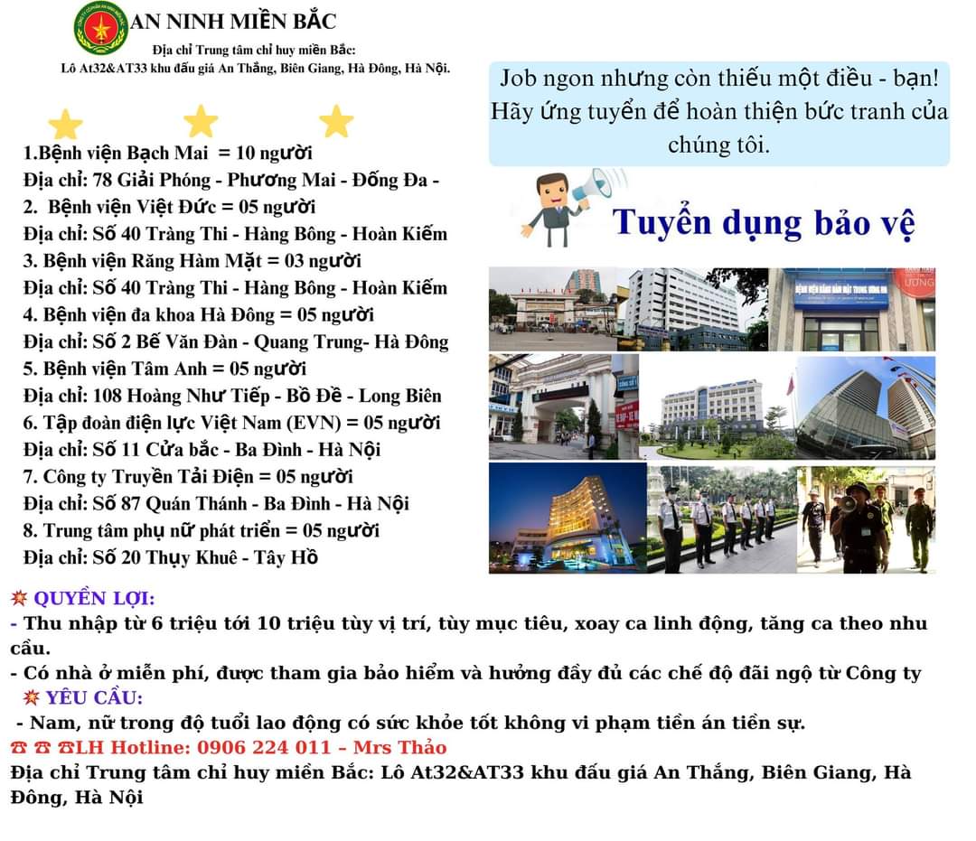 lĩnh vực hoạt động