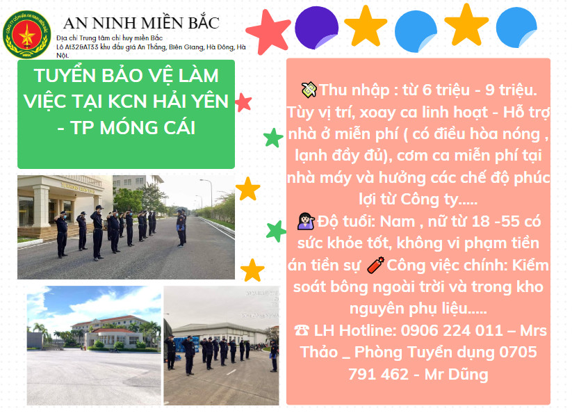 lĩnh vực hoạt động