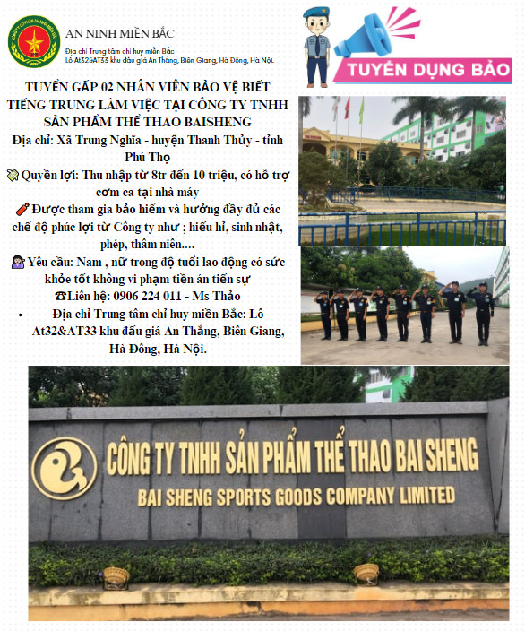 lĩnh vực hoạt động