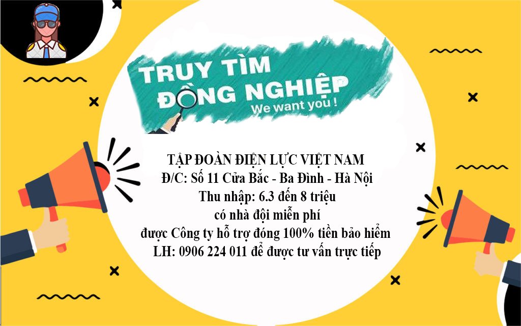lĩnh vực hoạt động
