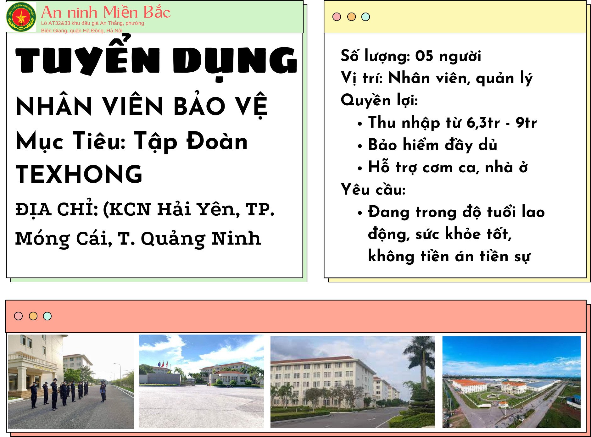 lĩnh vực hoạt động