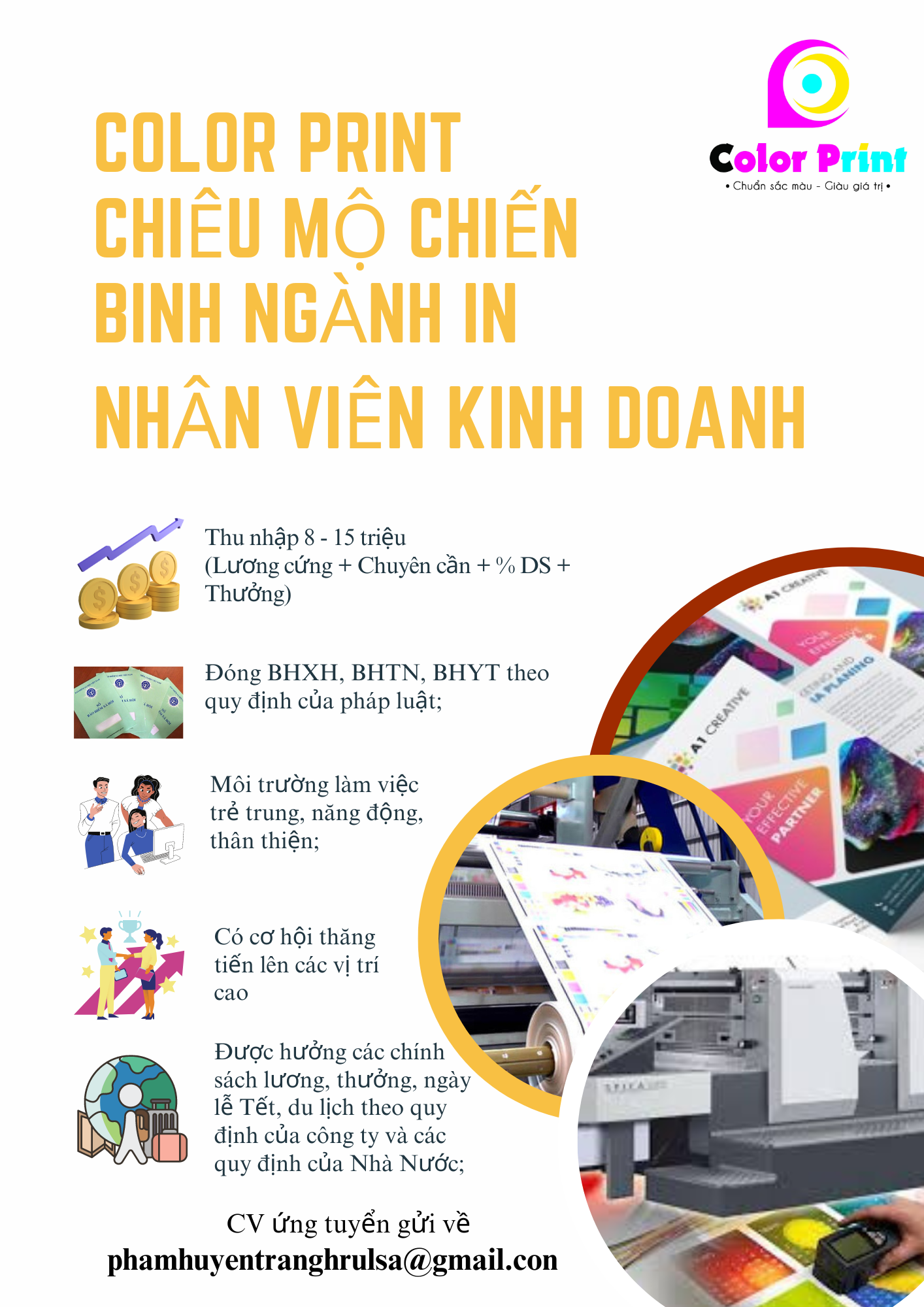 lĩnh vực hoạt động