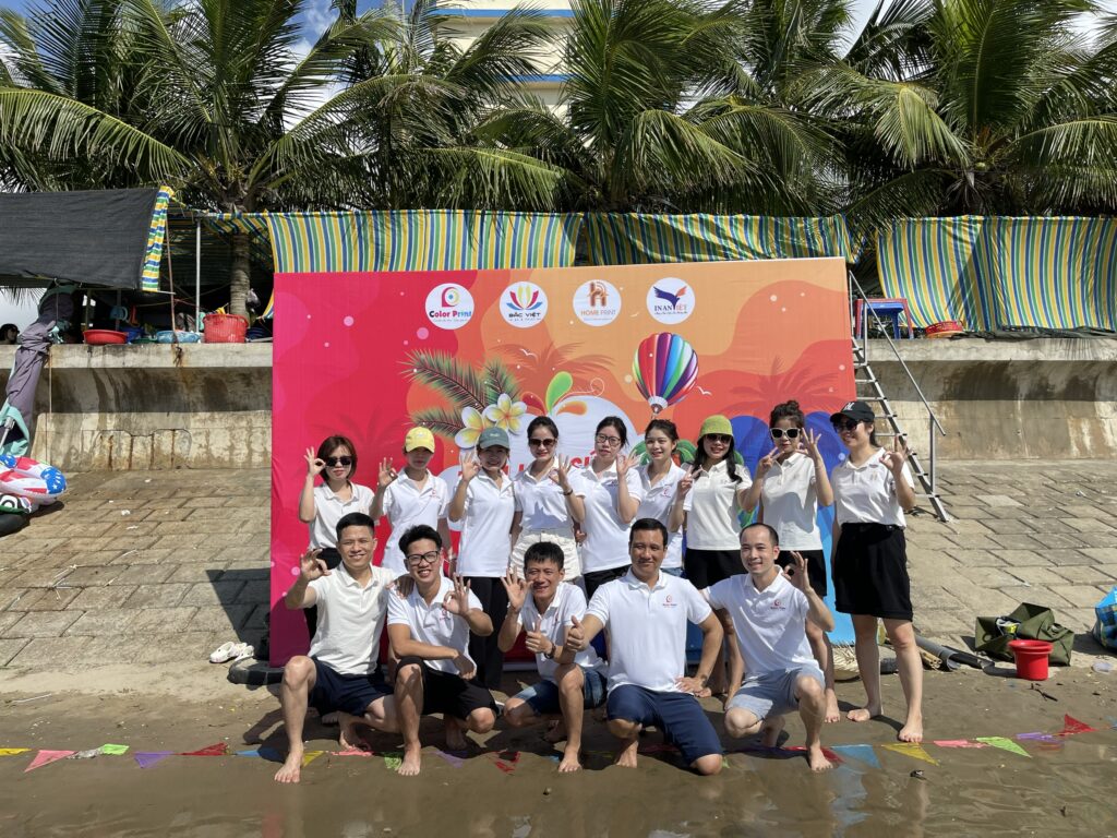 lĩnh vực hoạt động