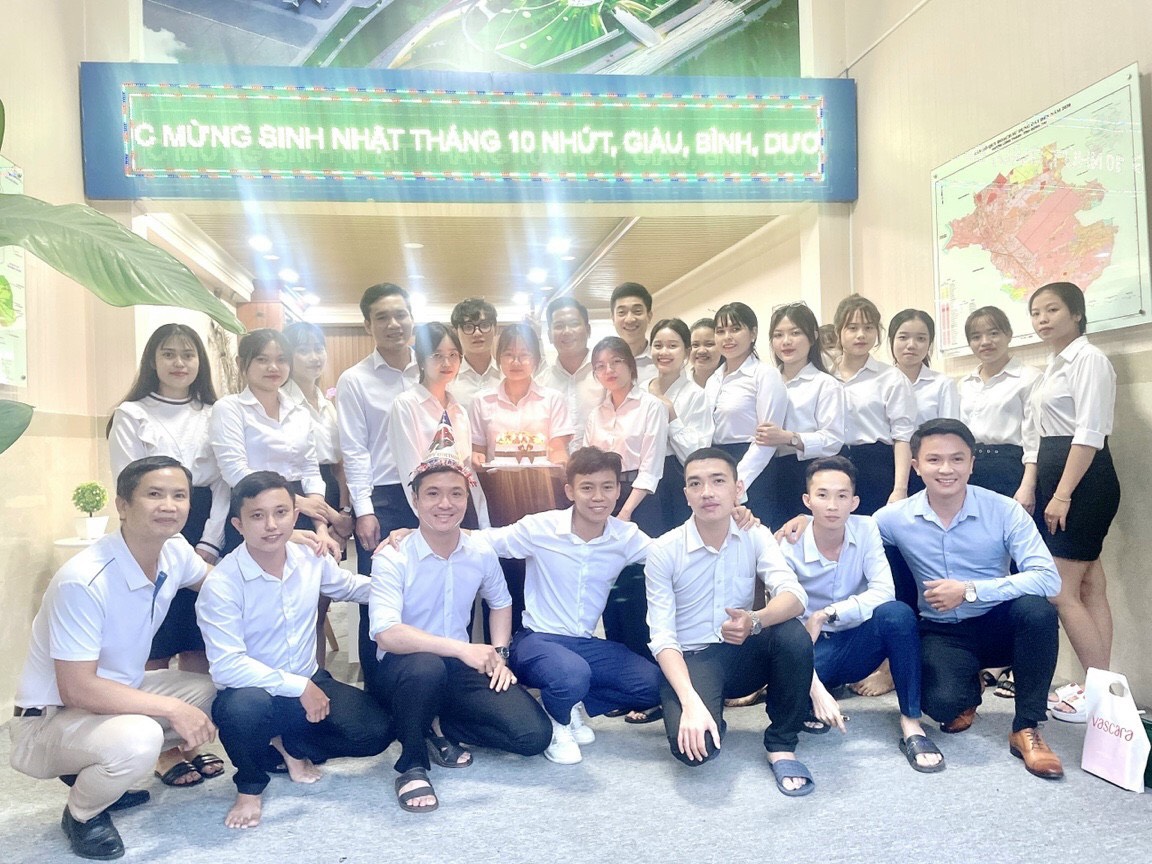 lĩnh vực hoạt động