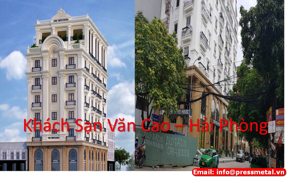 lĩnh vực hoạt động