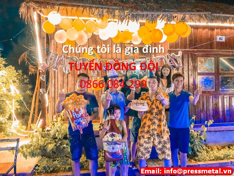lĩnh vực hoạt động
