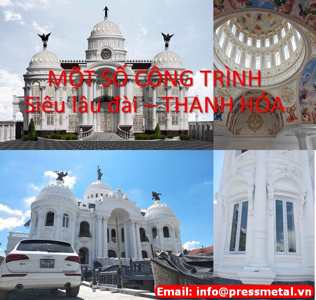 lĩnh vực hoạt động