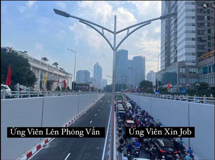 lĩnh vực hoạt động