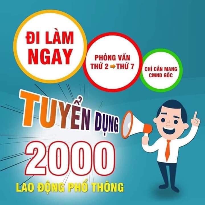 lĩnh vực hoạt động