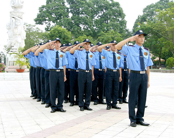 lĩnh vực hoạt động