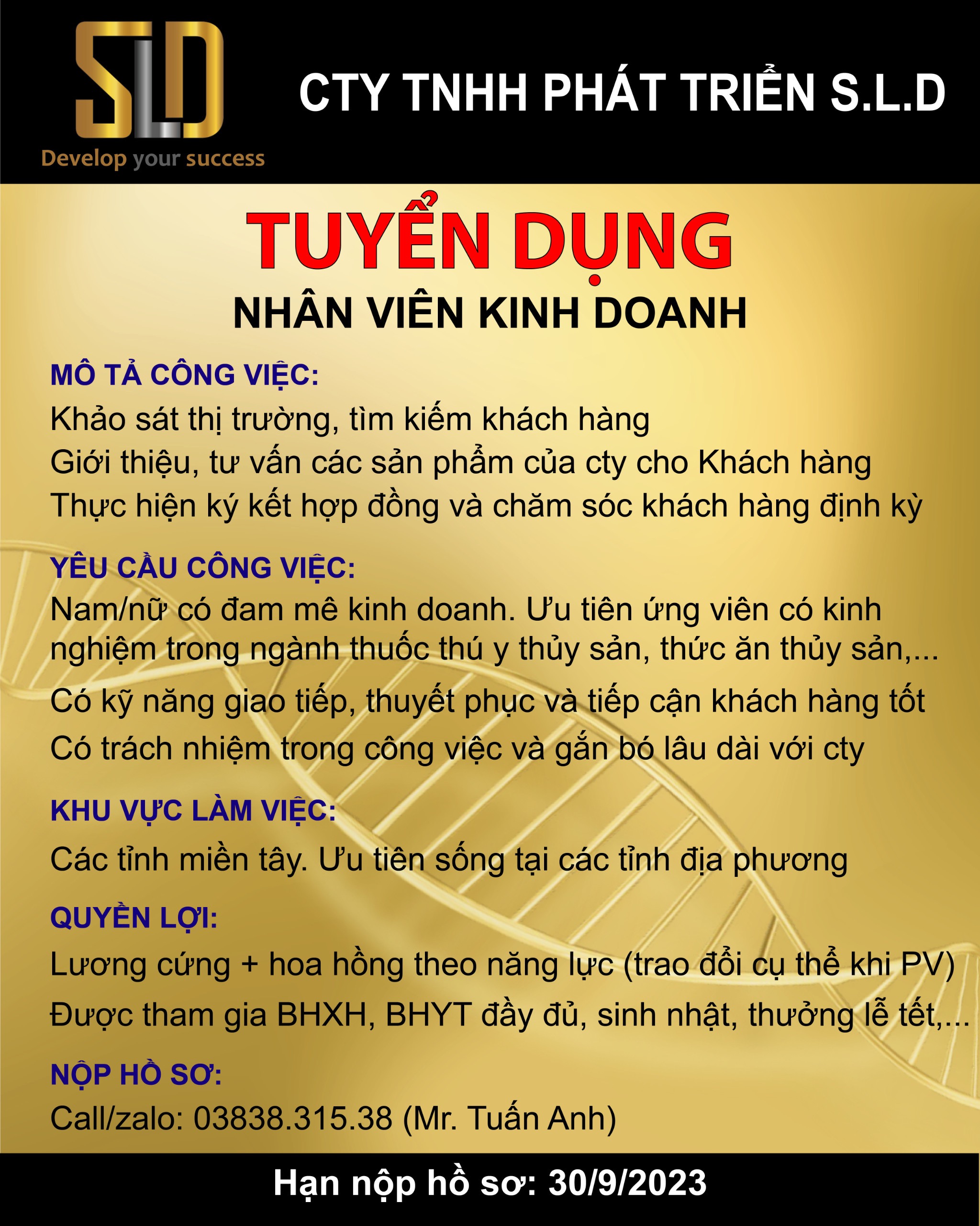 lĩnh vực hoạt động