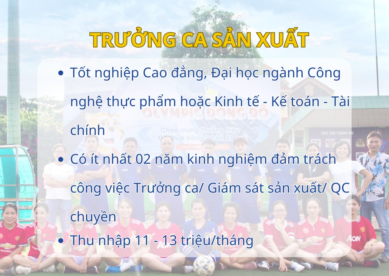 lĩnh vực hoạt động