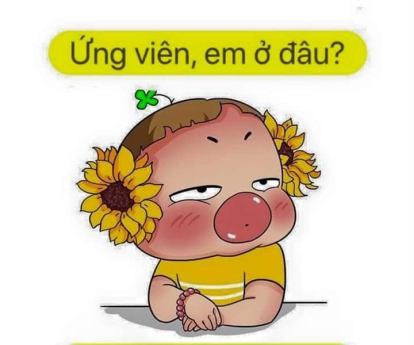 lĩnh vực hoạt động