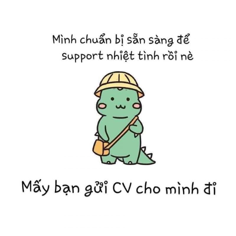 lĩnh vực hoạt động