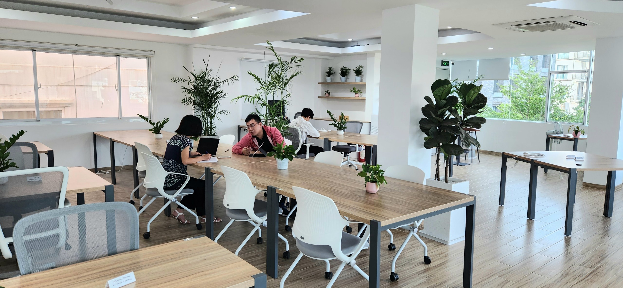 lĩnh vực hoạt động