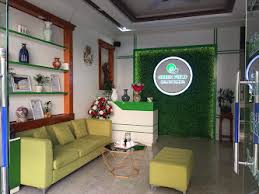 lĩnh vực hoạt động