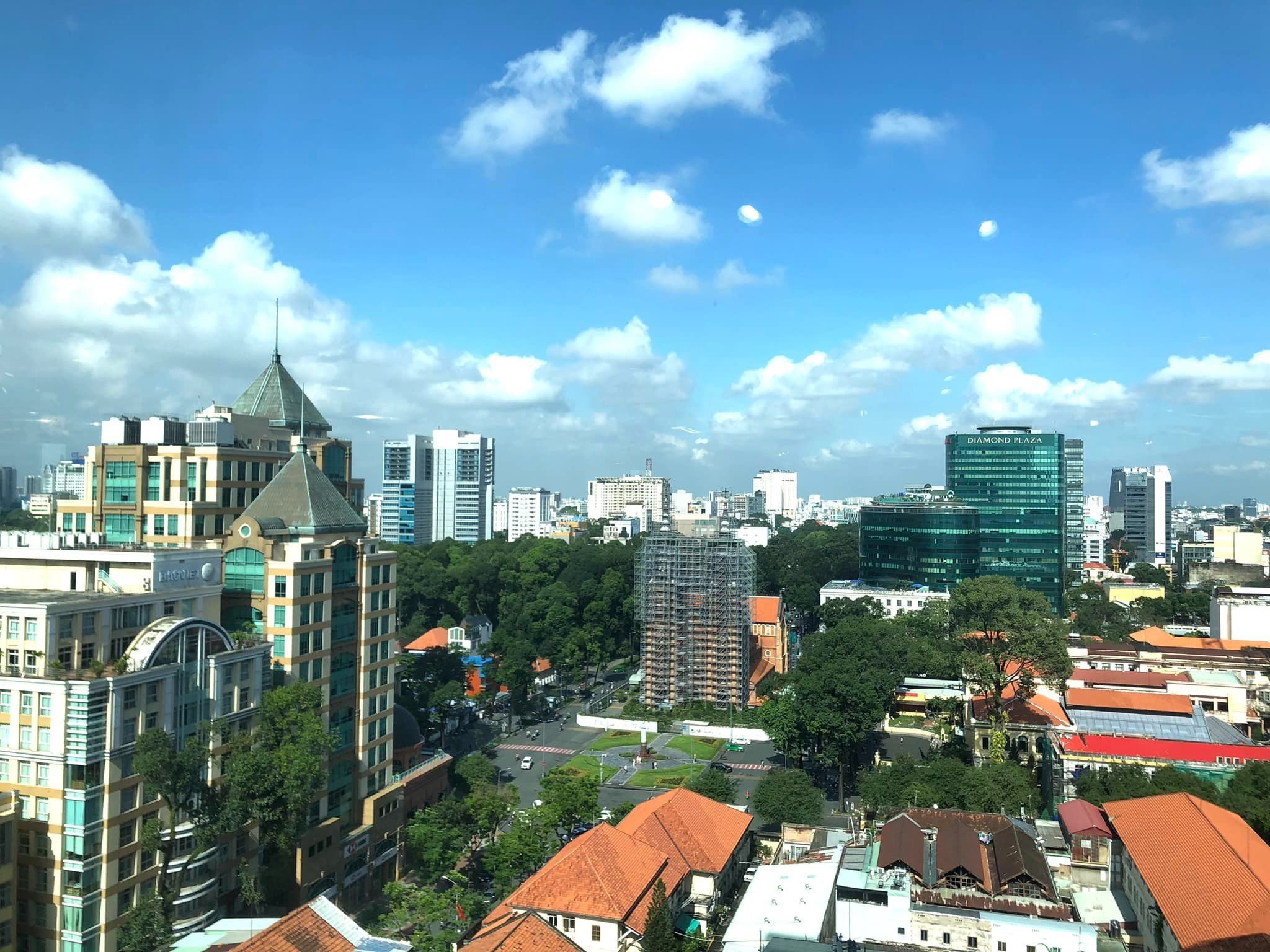 lĩnh vực hoạt động