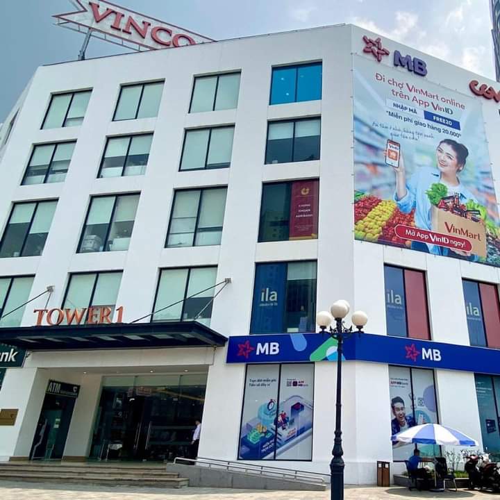 lĩnh vực hoạt động